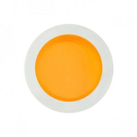 Pudră acrilică bright light orange 10g (014)
