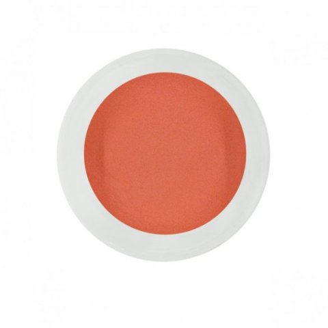 Pudră acrilică Pure orange 10g (069)